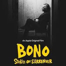 波诺：救赎之路 海报