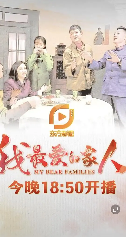 我最爱的家人 海报