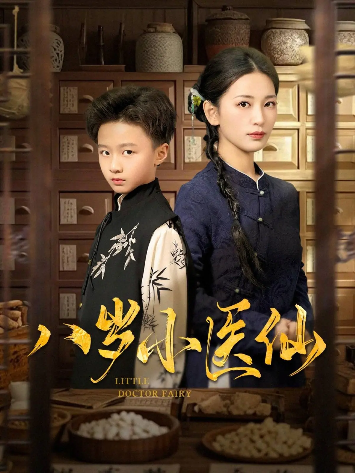 八岁小医仙 海报