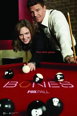 《识骨寻踪第十季》：骨骼里的秘密，悬疑再升级！法医的爱恨情仇与正义之战