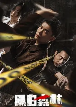 《黑白森林》：卧底迷局，正邪难辨！警匪暗战中的人性挣扎与宿命轮回