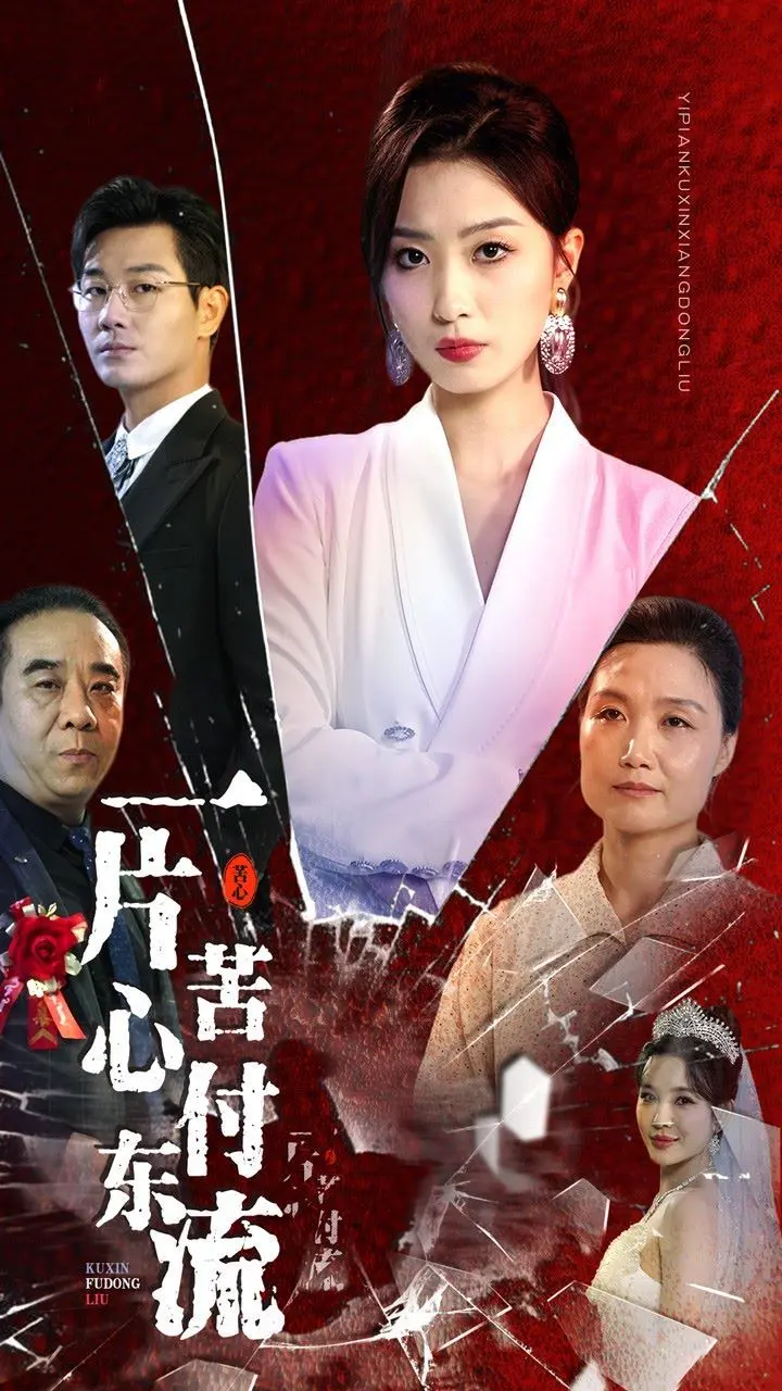 《一片苦心付东流（女儿的荣耀）》：家庭情感的无奈与救赎之路