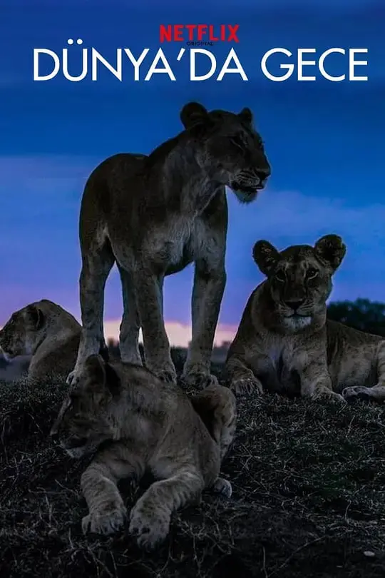 《地球的夜晚》：在黑暗中寻找星辰，一部关于希望与重生的史诗级科幻巨作